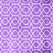 Square Machine Washable Trellis Purple Modern Area Rugs, wshcon1851pur