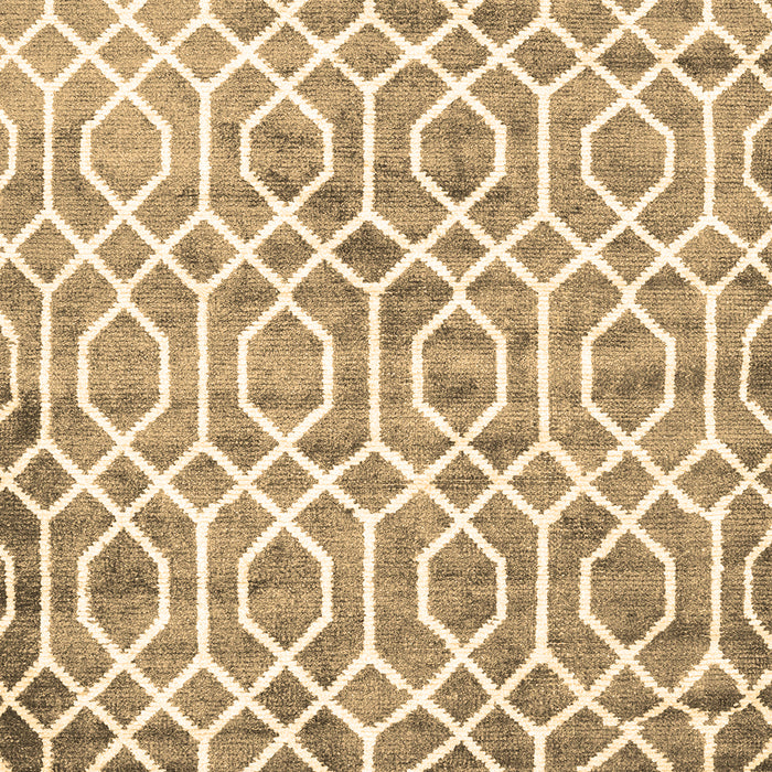 Machine Washable Trellis Brown Modern Rug, wshcon1851brn