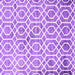 Square Trellis Purple Modern Rug, con1851pur