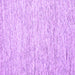 Square Solid Purple Modern Rug, con1852pur