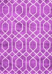 Trellis Pink Modern Rug, con1864pnk