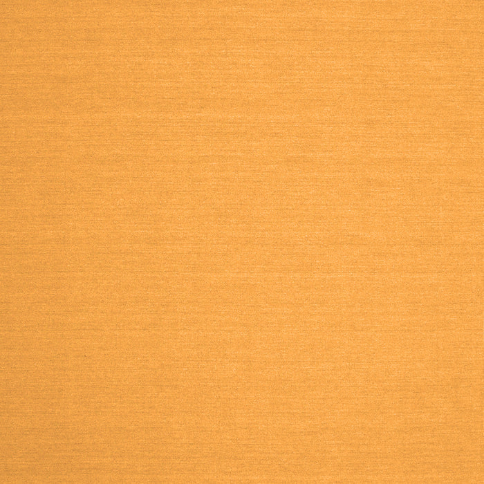 Solid Orange Modern Rug, con186org