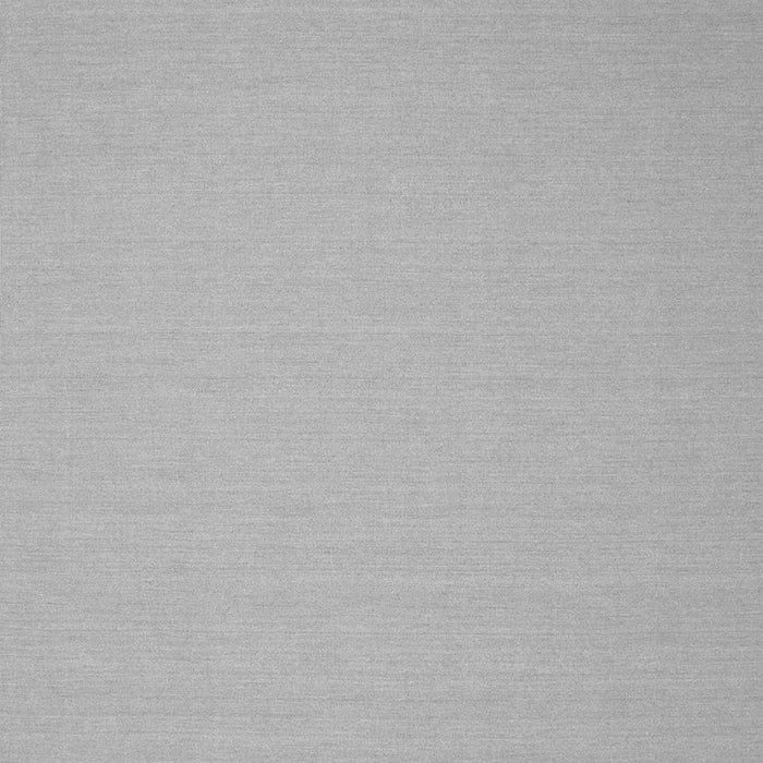 Solid Gray Modern Rug, con186gry
