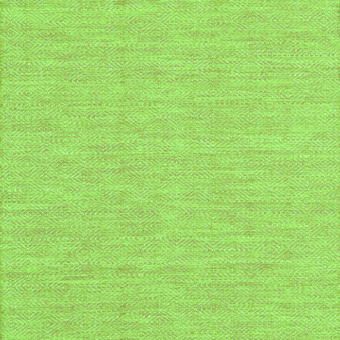 Abstract Green Contemporary Rug, con1884grn