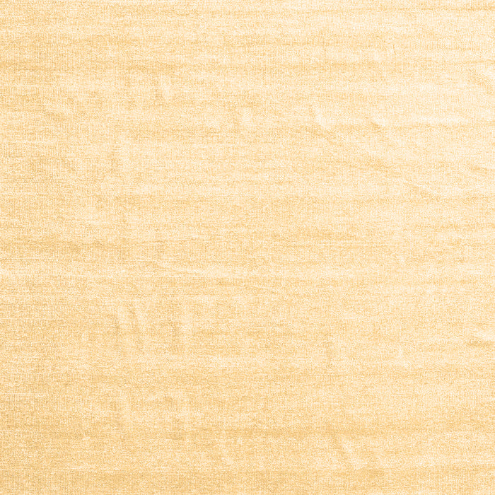 Solid Brown Modern Rug, con1894brn