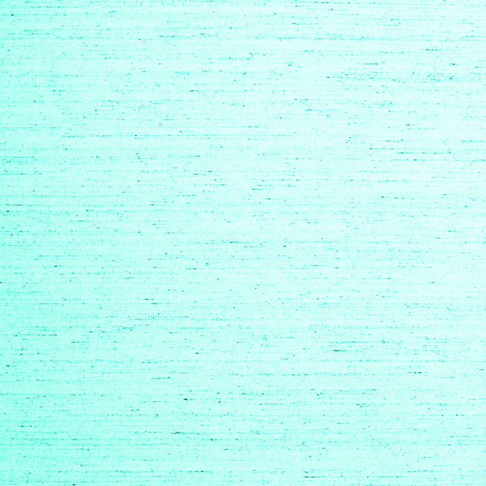 Solid Turquoise Modern Rug, con1899turq