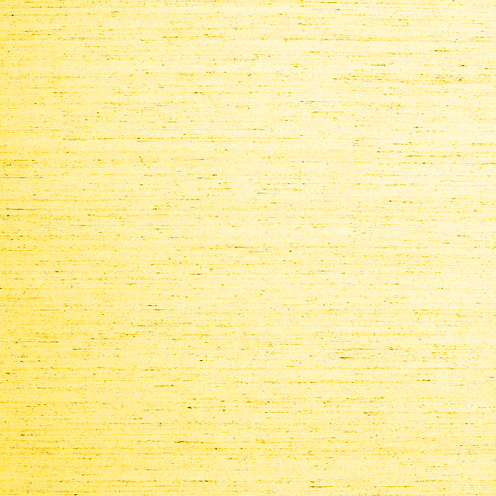 Solid Yellow Modern Rug, con1899yw