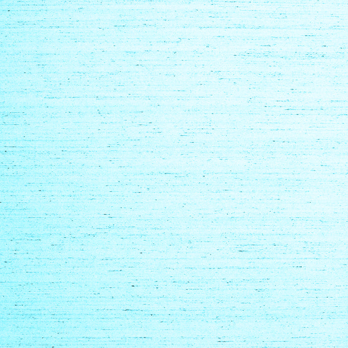 Solid Light Blue Modern Rug, con1899lblu