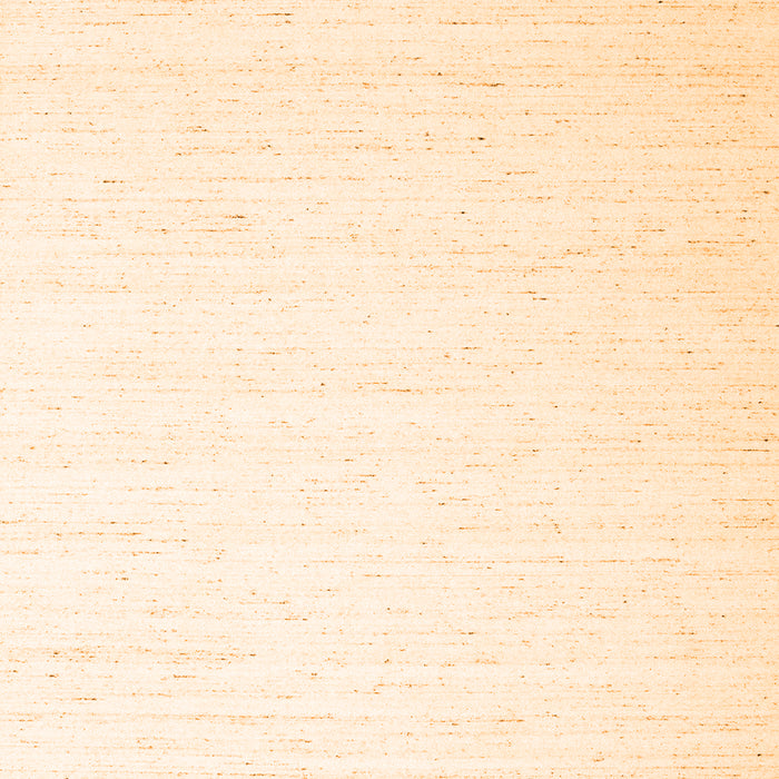 Solid Orange Modern Rug, con1899org