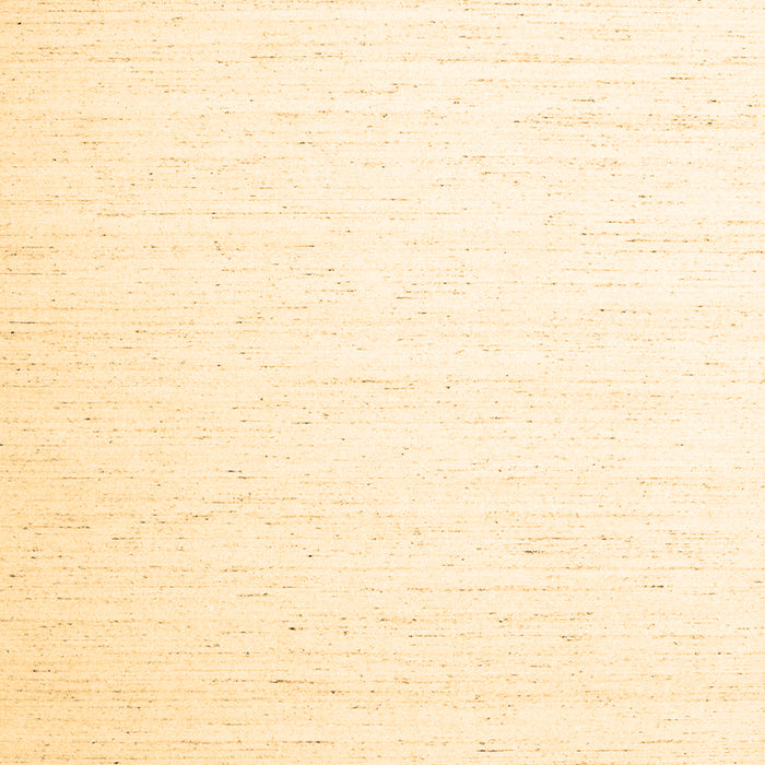 Solid Brown Modern Rug, con1899brn