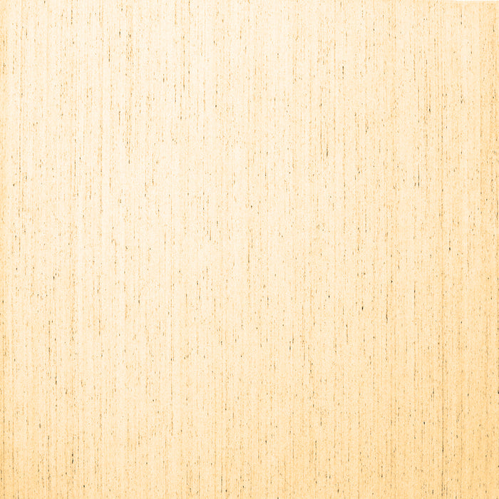 Square Machine Washable Solid Brown Modern Rug, wshcon1899brn