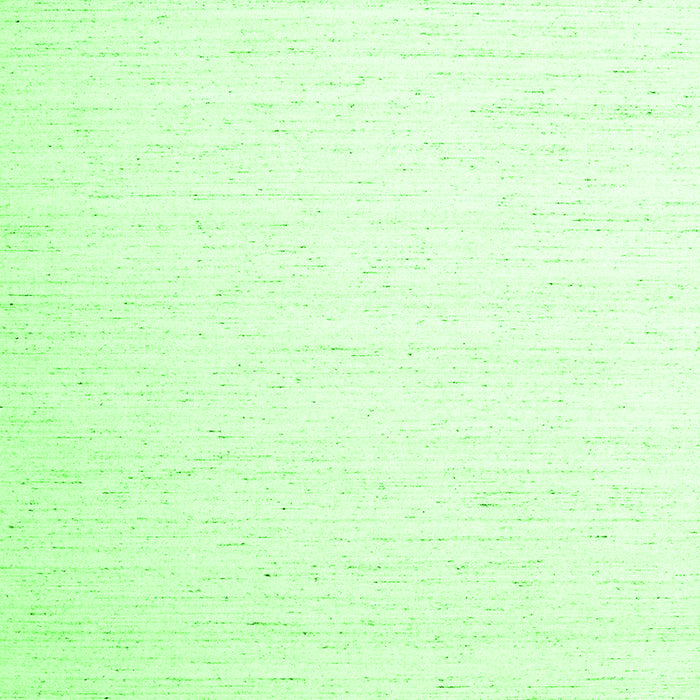 Solid Green Modern Rug, con1899grn