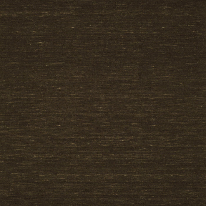 Abstract Brown Contemporary Rug, con190brn