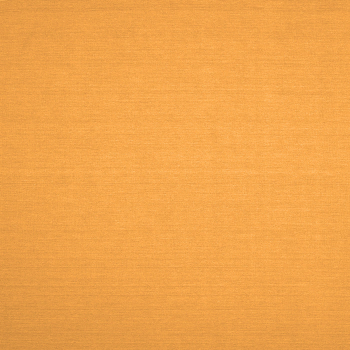 Serging Thickness of Solid Orange Modern Rug, con191org