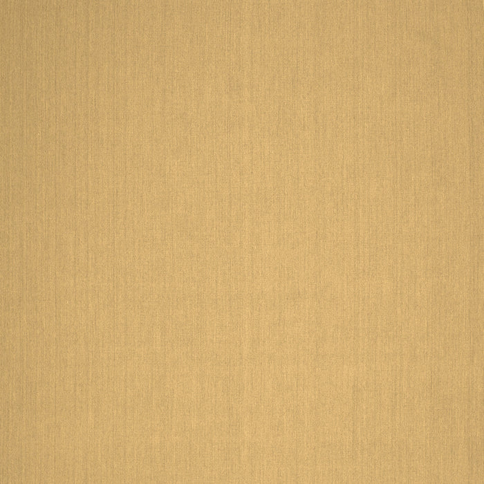 Square Solid Brown Modern Rug, con191brn
