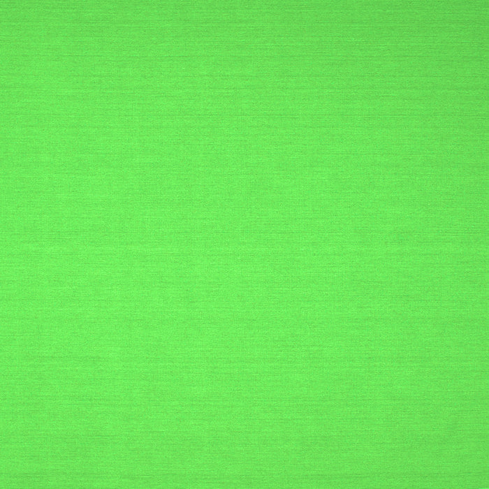 Serging Thickness of Solid Green Modern Rug, con191grn