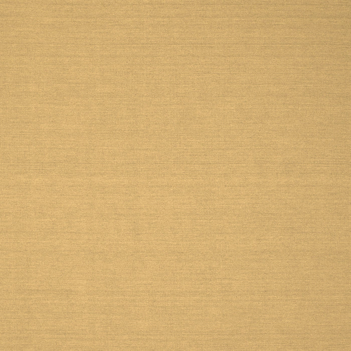 Solid Brown Modern Rug, con191brn