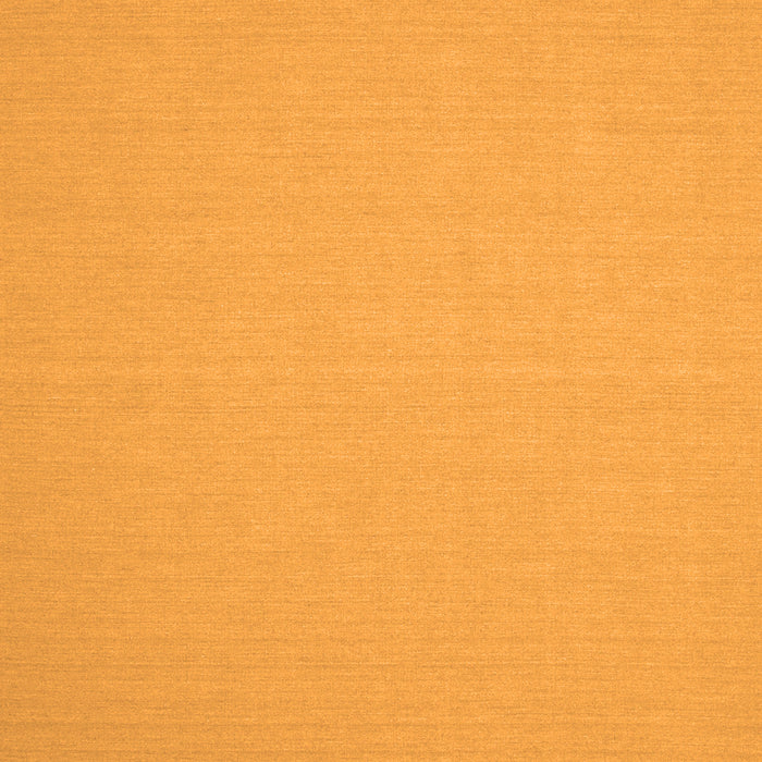 Solid Orange Modern Rug, con191org