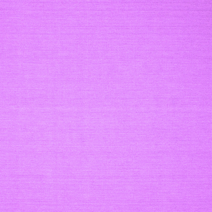 Solid Purple Modern Rug, con191pur