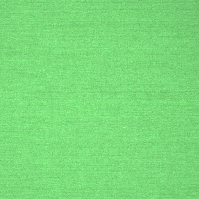 Solid Emerald Green Modern Rug, con191emgrn