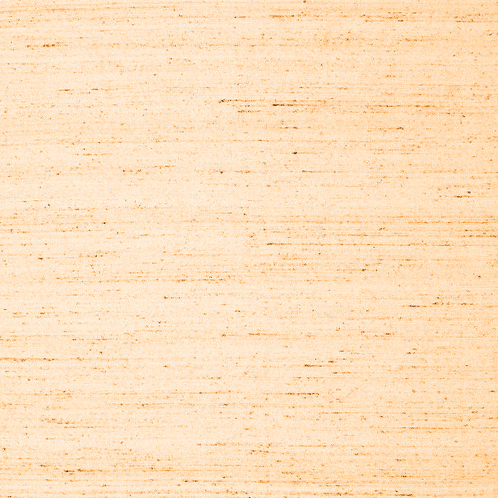 Solid Orange Modern Rug, con1924org