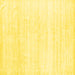 Square Solid Yellow Modern Rug, con1925yw