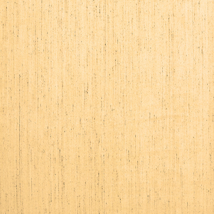 Square Machine Washable Solid Brown Modern Rug, wshcon1929brn