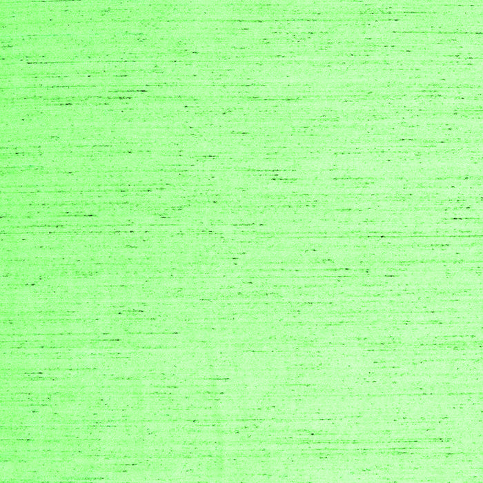 Solid Green Modern Rug, con1929grn