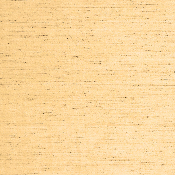 Machine Washable Solid Brown Modern Rug, wshcon1929brn