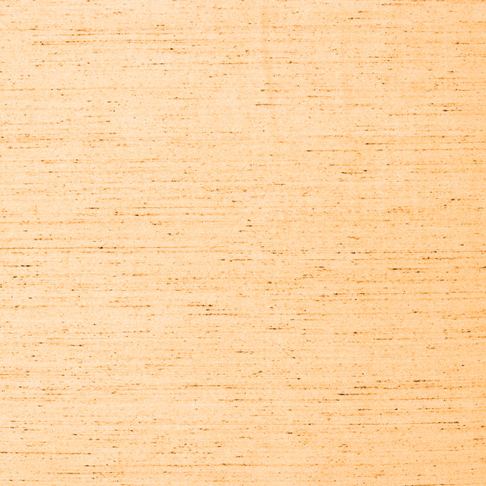 Solid Orange Modern Rug, con1929org