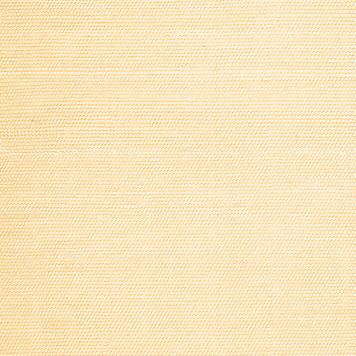 Solid Brown Modern Rug, con1930brn