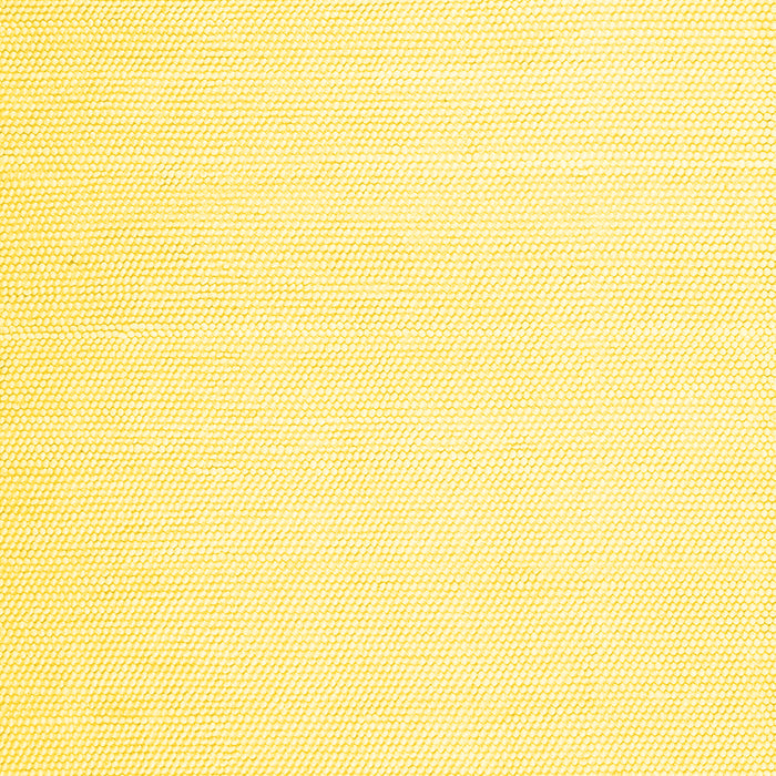 Machine Washable Solid Yellow Modern Rug, wshcon1930yw