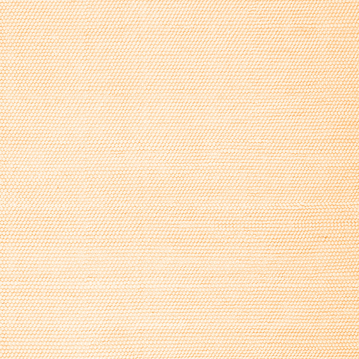 Solid Orange Modern Rug, con1930org