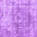 Square Abstract Purple Contemporary Rug, con1933pur