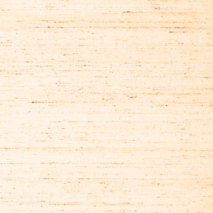 Solid Orange Modern Rug, con1945org