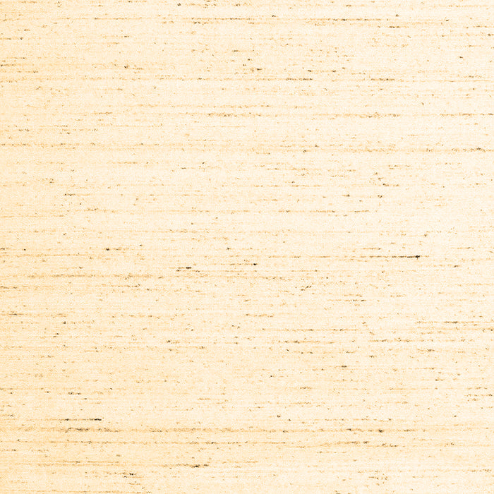 Solid Brown Modern Rug, con1945brn