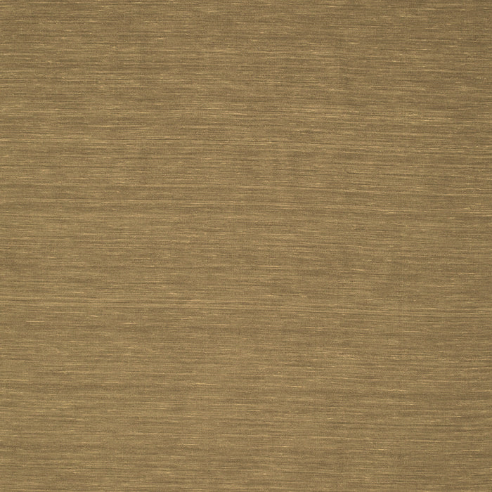 Abstract Brown Contemporary Rug, con194brn