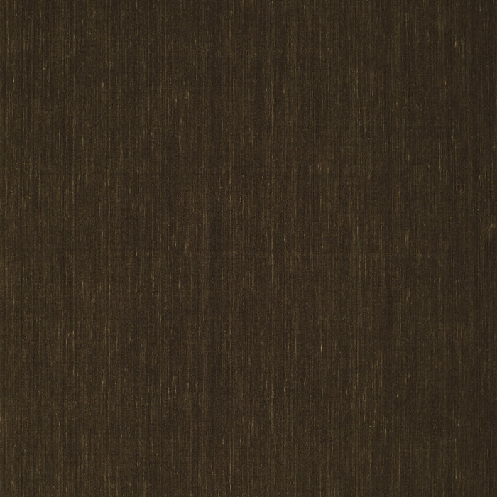 Abstract Brown Contemporary Rug, con195brn