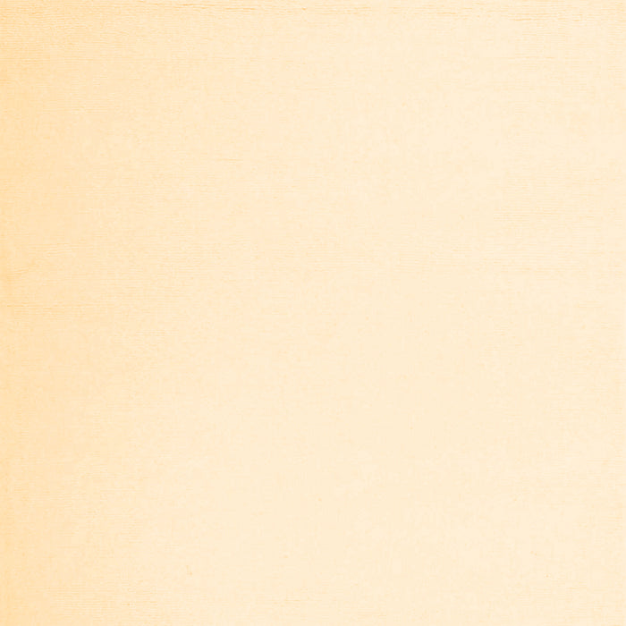 Machine Washable Solid Brown Modern Rug, wshcon1973brn