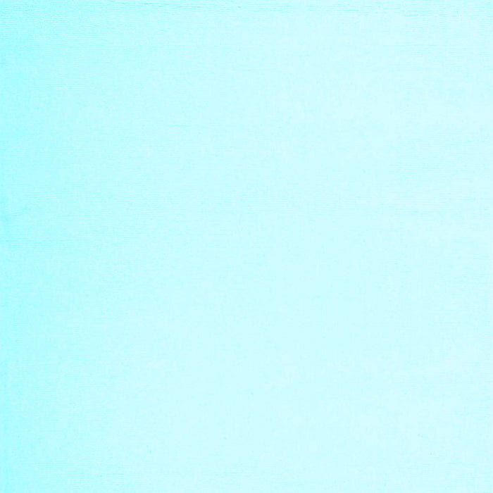 Solid Light Blue Modern Rug, con1973lblu