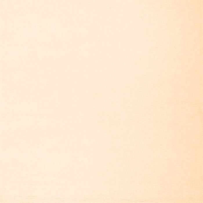 Solid Orange Modern Rug, con1973org