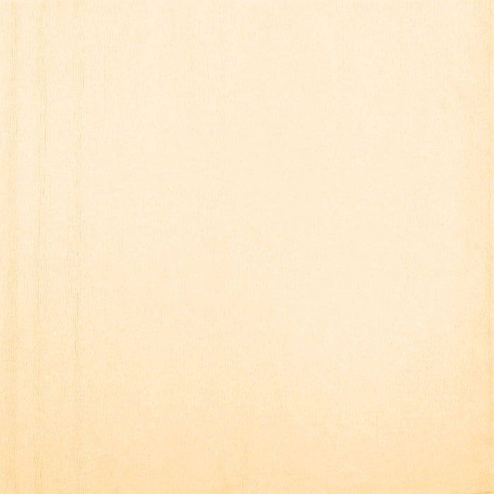 Square Machine Washable Solid Brown Modern Rug, wshcon1973brn