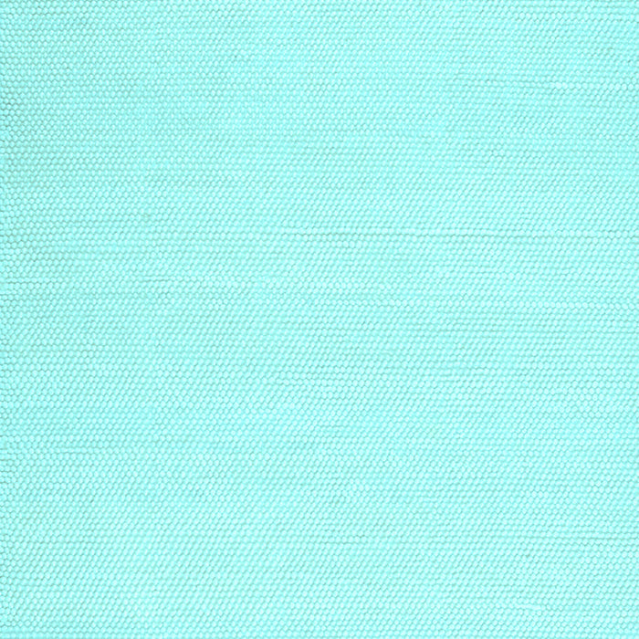 Machine Washable Solid Light Blue Modern Rug, wshcon1981lblu