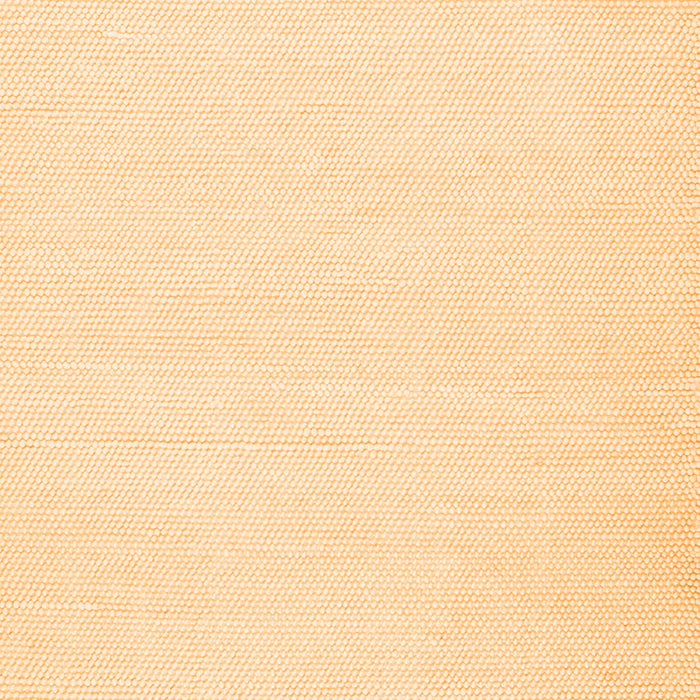 Solid Orange Modern Rug, con1981org