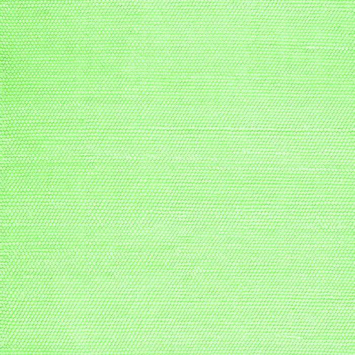 Solid Green Modern Rug, con1981grn