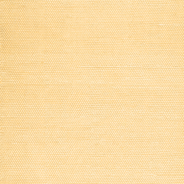 Solid Brown Modern Rug, con1981brn