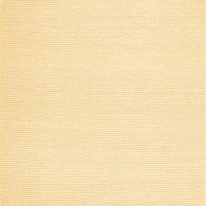 Machine Washable Solid Brown Modern Rug, wshcon1983brn