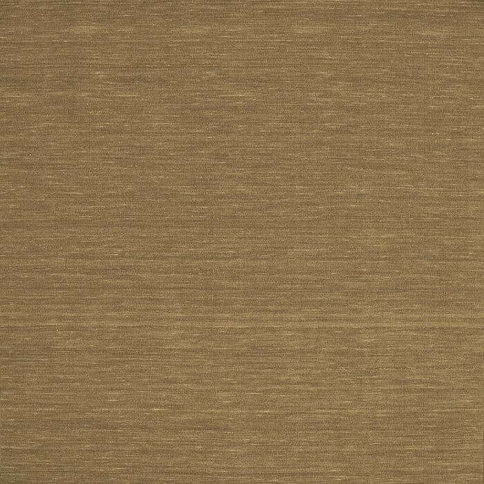 Square Abstract Brown Contemporary Rug, con198brn