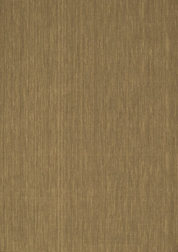 Abstract Brown Contemporary Rug, con198brn