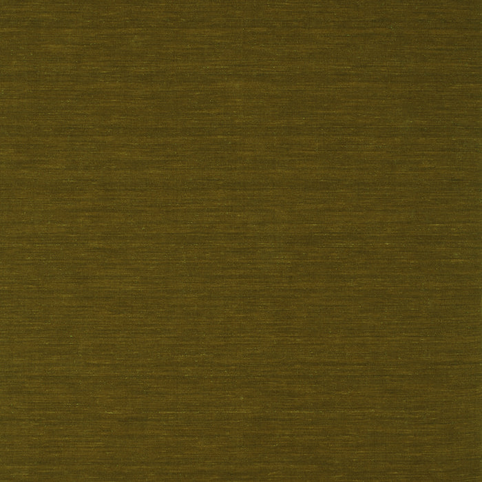 Abstract Green Contemporary Rug, con199grn